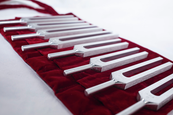 Biosonics - C MAJOR SCALE "Solar Harmonic Set" (C D E F G A B C)