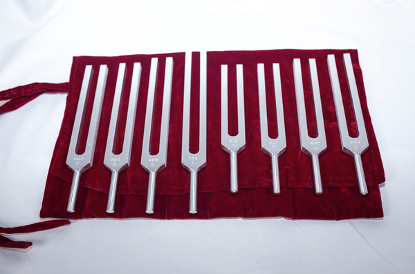 Biosonics - C MAJOR SCALE "Solar Harmonic Set" (C D E F G A B C)