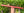 A minor Blue Bear Flutes Red Cedar Flute