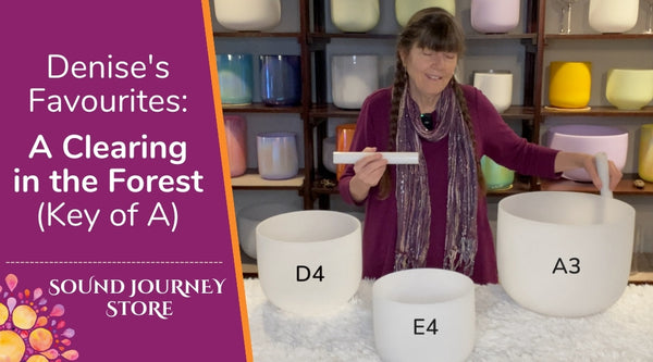 Denise's Favourites: A Clearing in the Forest (A)