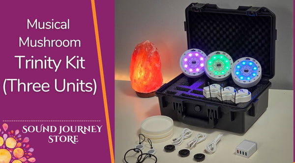 Musical Mushroom Trinity Kit (Three units)