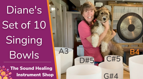 Jackie's Love Life in A#