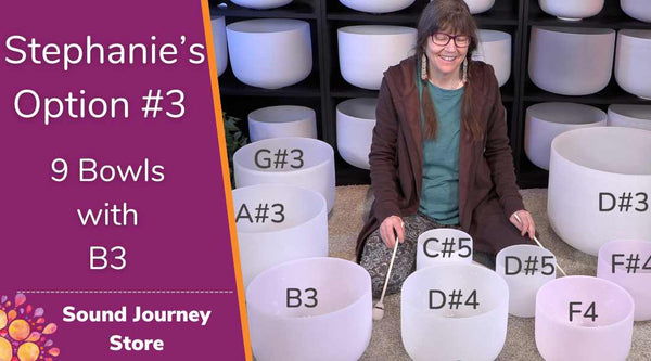 Stephanie's Option #3: 9 Crystal Singing Bowls with D#3 and B3