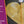 Individual B Love Professional Flumies