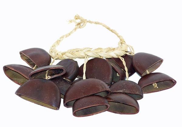 JuJu Nut Arm Shaker